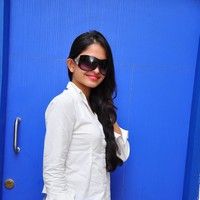 Sheena Shahabadi new pictures | Picture 45607